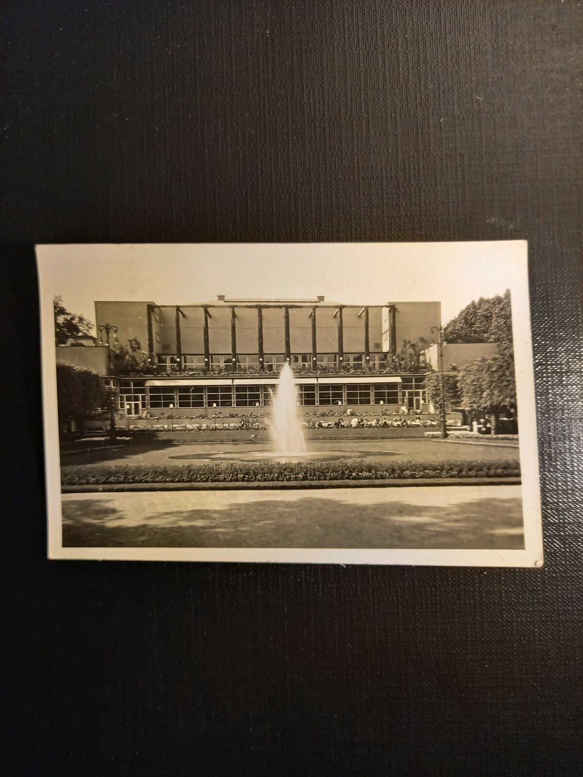 Palmengarten Frankfurt a.M. 410569 gr C