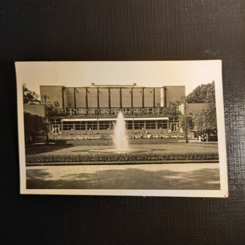 Palmengarten Frankfurt a.M. 410569 gr C