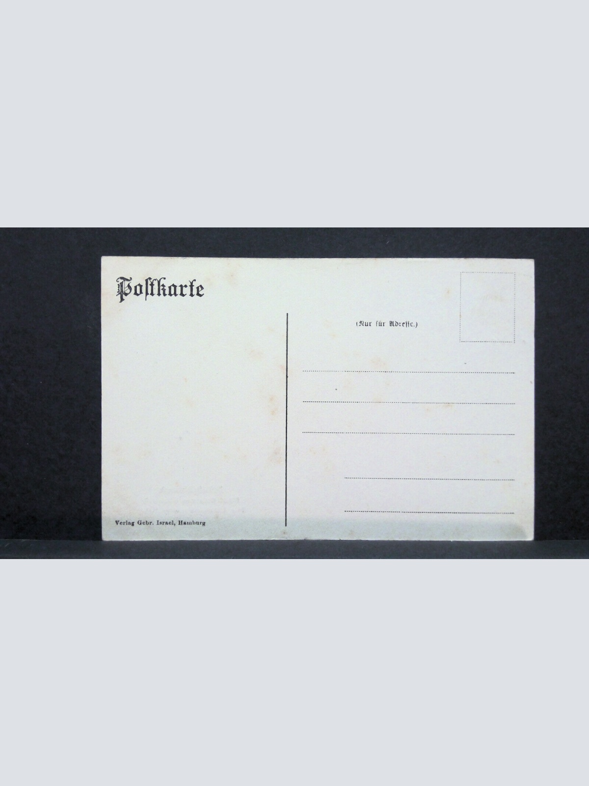 Friedrichsruh Bismarcks Enkel auf Pferd JW 500234 C