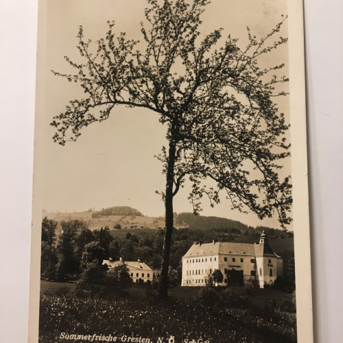 Sommerfrische Gresten. 630. ShNö