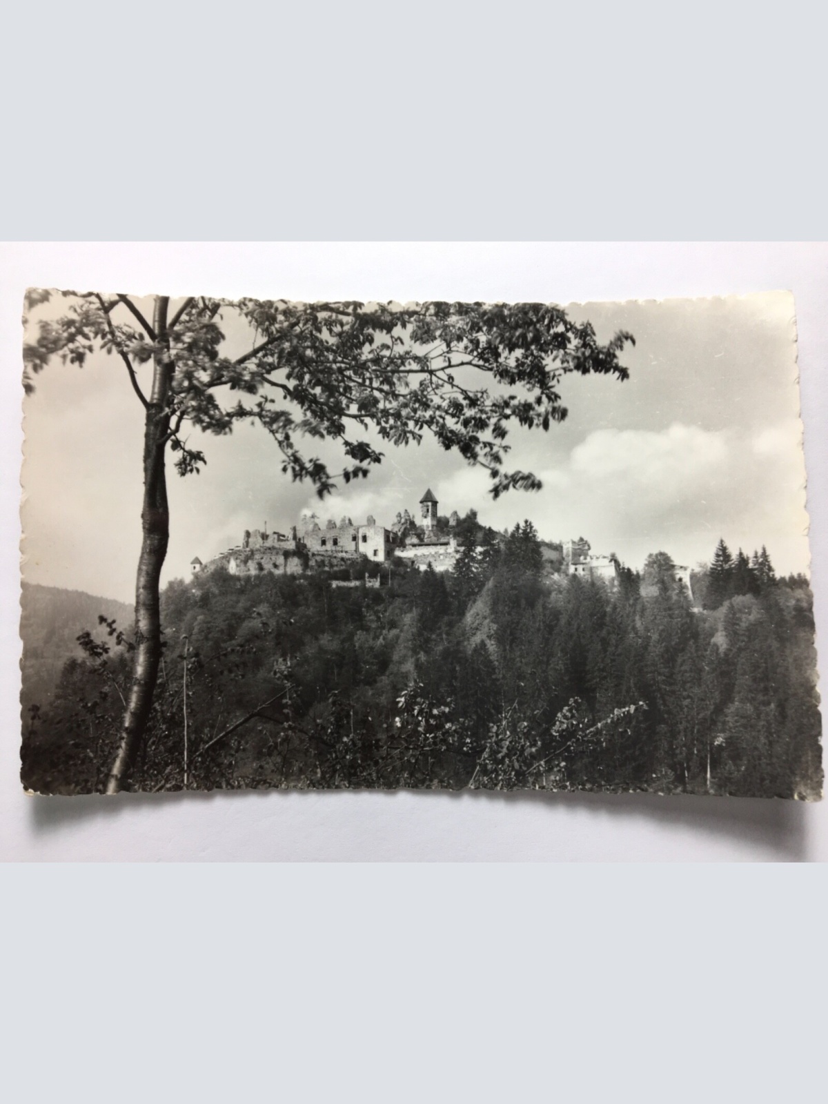 Ruine Landskron bei Villach 11119