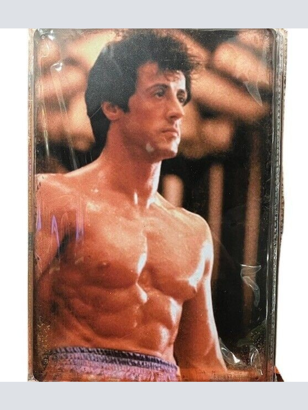 Nostalgie Retro Blechschild "Sylvester Stallone" 30x20 000AL