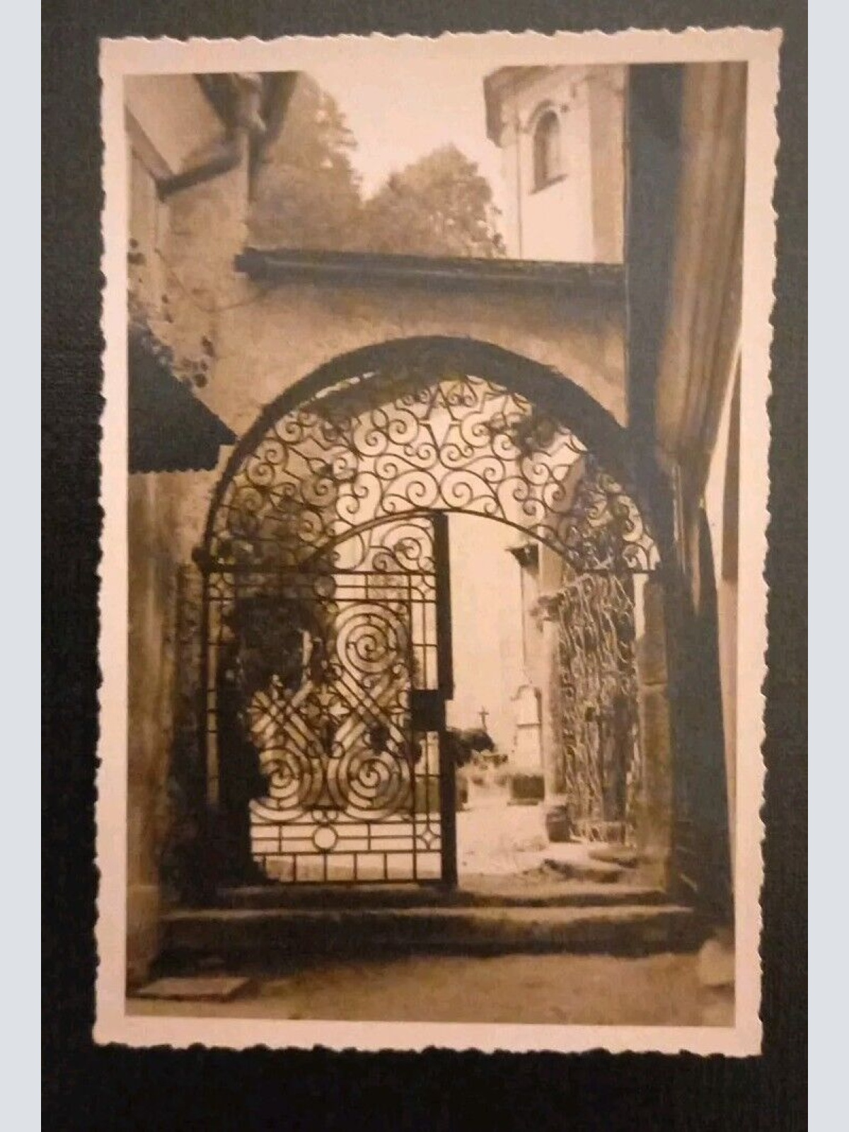 Salzburg Friedhof St.Peter 600692A gr K