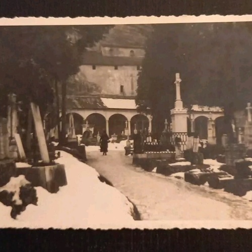 Salzburg Friedhof St.Peter 281354 gr K