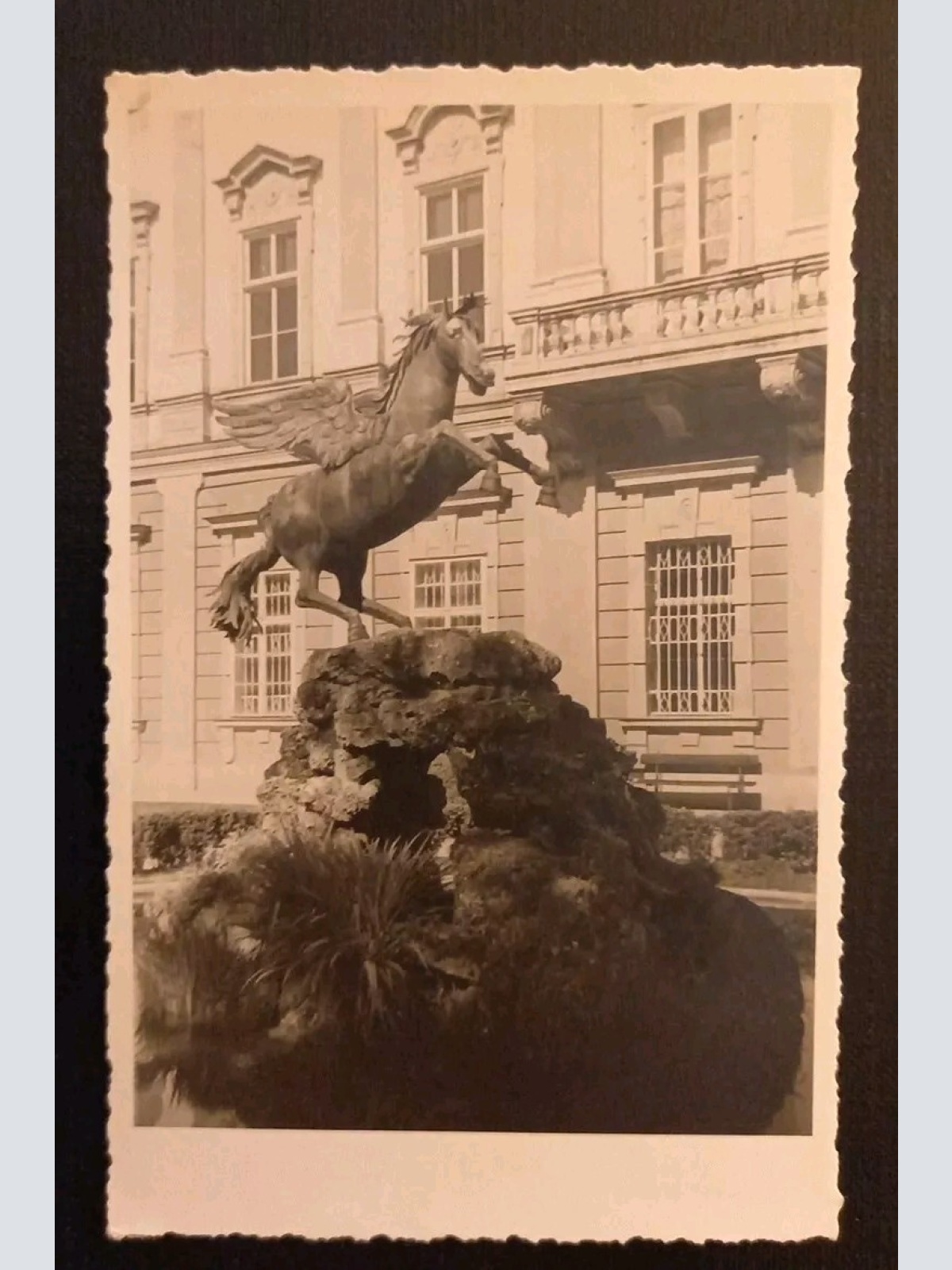 Salzburg Mirabellgarten Pferd 165338 gr K