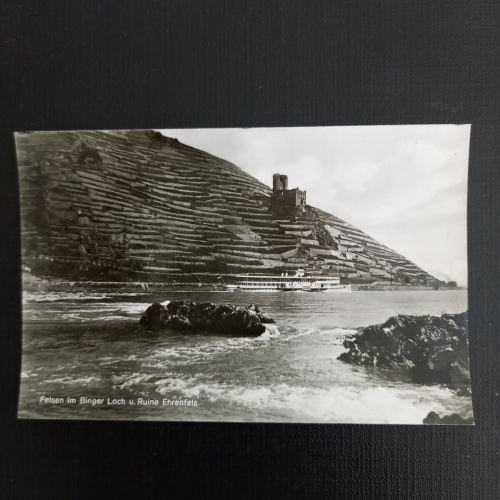 Ruine Ehrenfels 400948 gr A