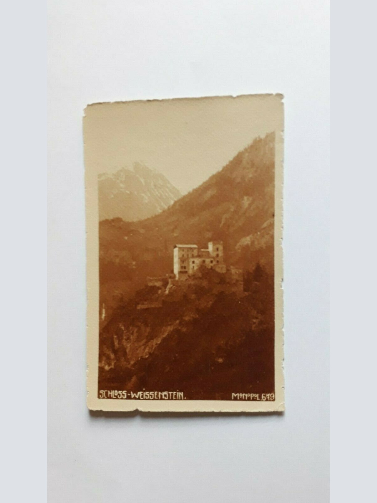 Schloss - Weissenstein 11135