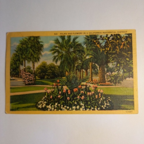 California Palms and Flowers 85147 GR