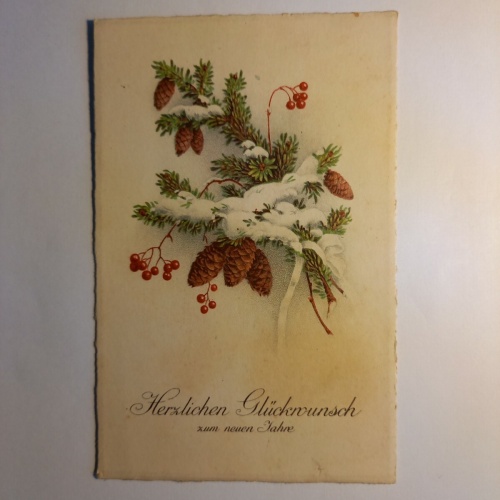 Glückwunschkarte Tannenzweig mit Schnee 85178 GR