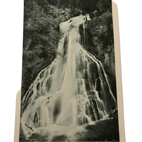AK, Salzburg, Gollinger Wasserfall, (110254 BW)