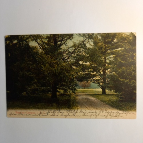 South Carolina View on Campus 85183 GR