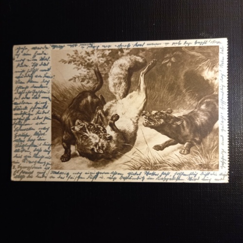 Iserlohn 400400 gr G