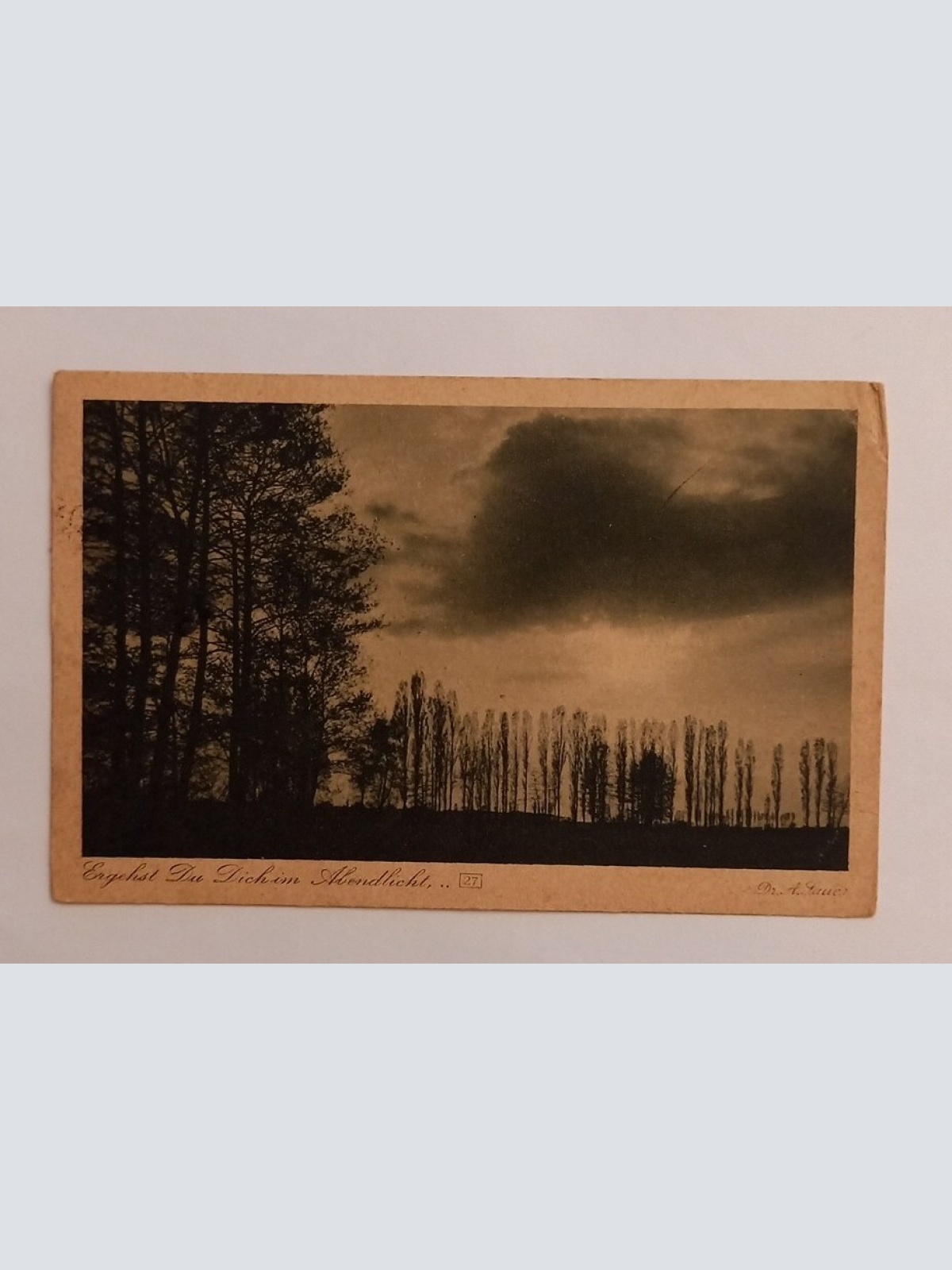 Stimmungsbild Ergehst du dich im Abendlicht 600620A gr D