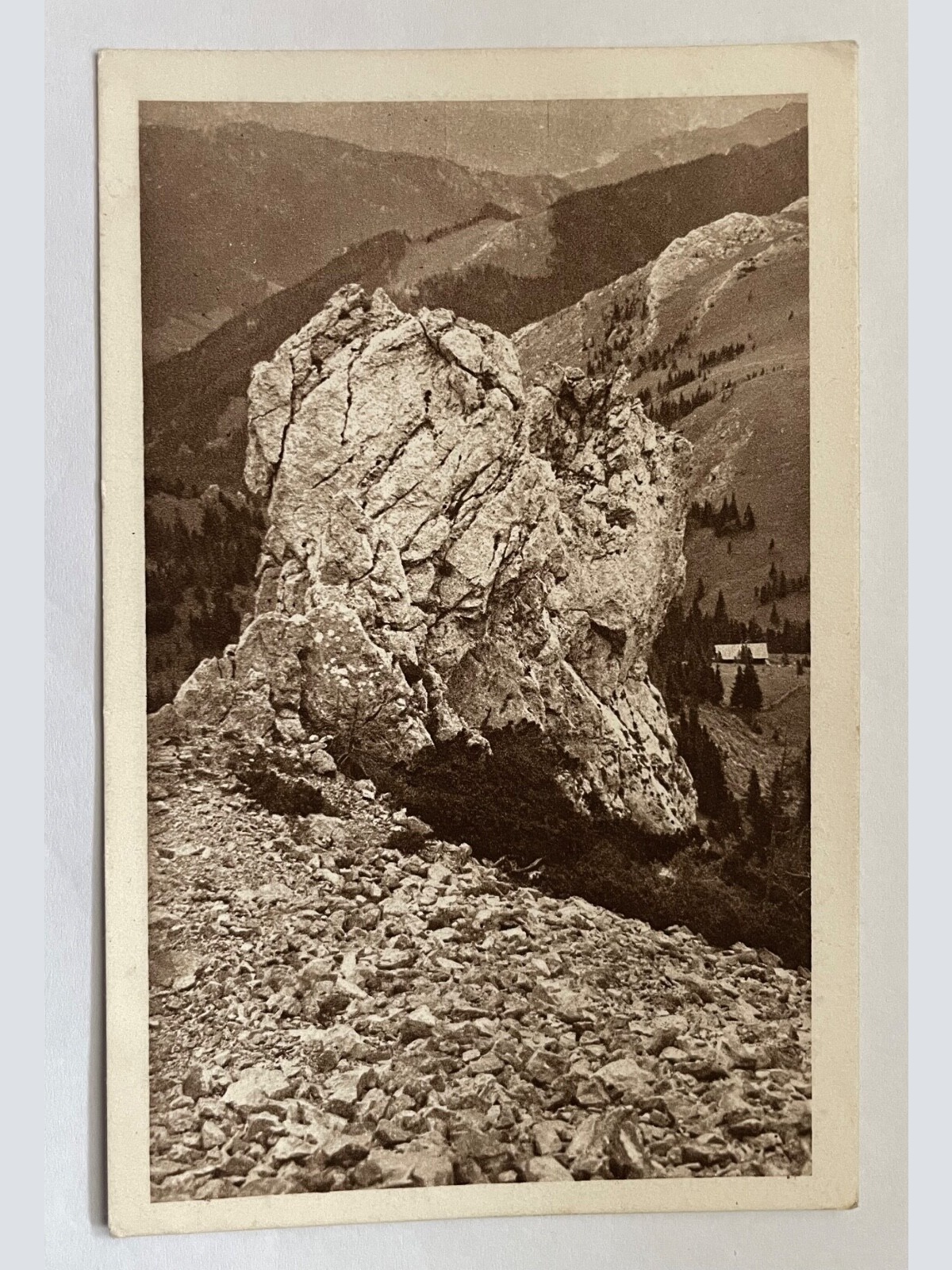 Sparbacherhütte Vom Fadensteig Schneeberg Berg Niederösterreich 8402 K TH