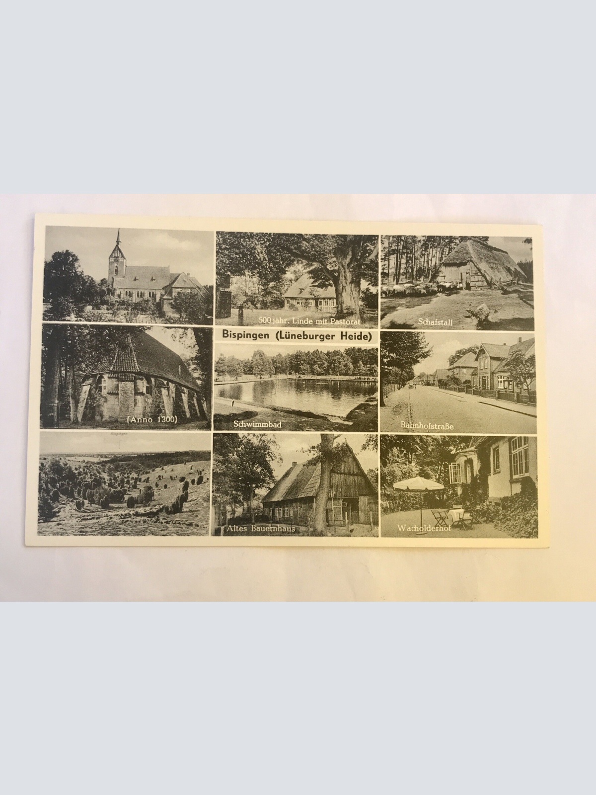 AK, Niedersachsen, Bispingen, Lüneburger Heide, (110230 BW)