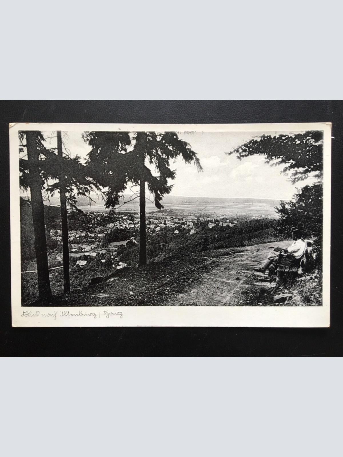 Blick auf Ilsenburg - Harz - Mann sitzt auf Bank 140441 TH