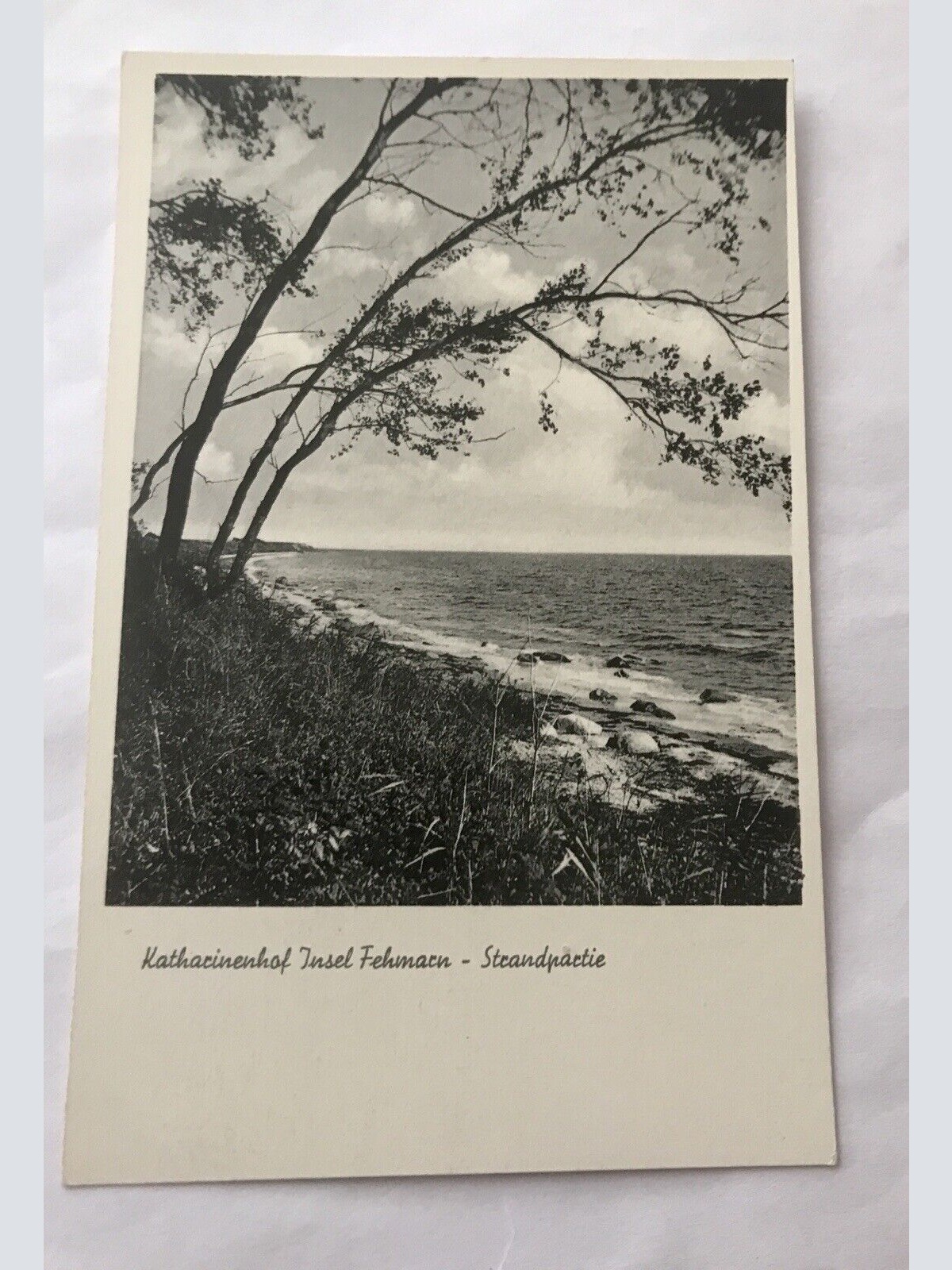 Katharinenhof, Insel, Fehmarn, Strandpartie (110305 BW)