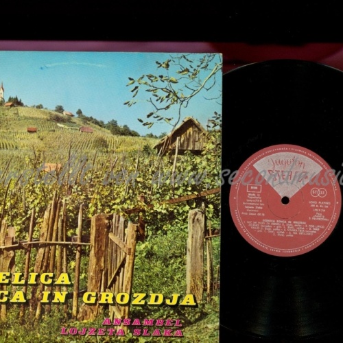 10" ANSAMBEL LOJZETA SLAKA--DEZELICA SONCA IN GROZDJA