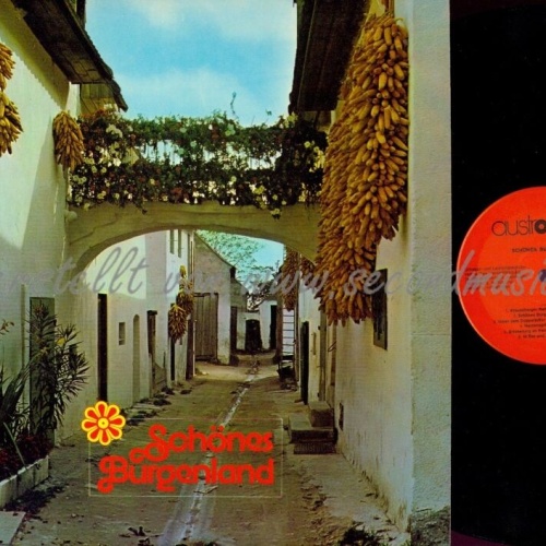 LP--SCHÖNES BURGENLAND--BRAUNSBERGER MUSIKANTEN-AICHINGER