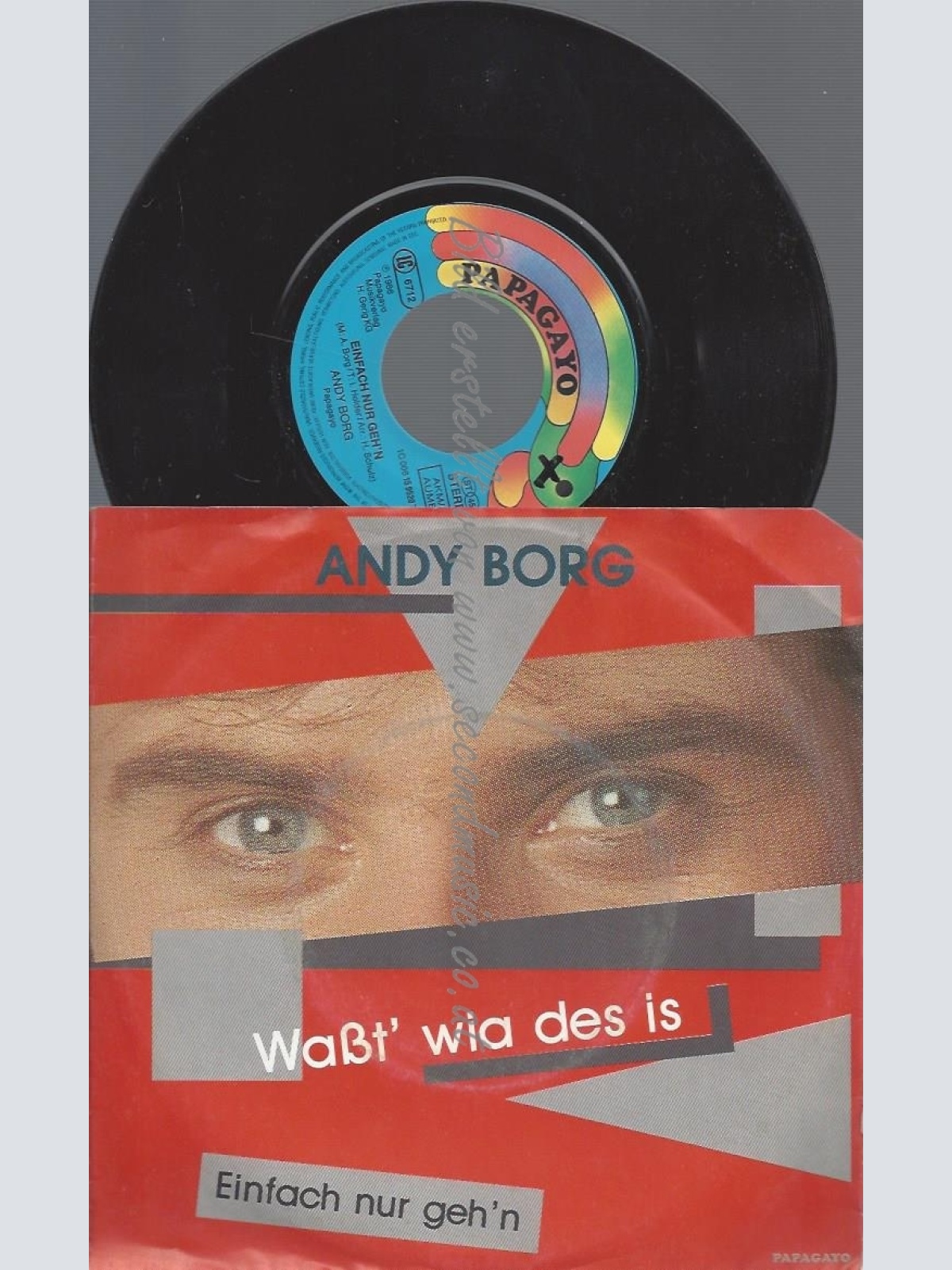 7"ANDY BORG--WASST WIA DES IS--
