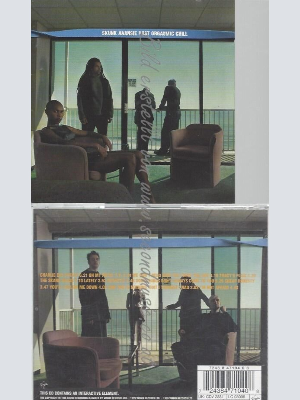 CD--SKUNK ANANSIE--POST ORGASMIC CHILL