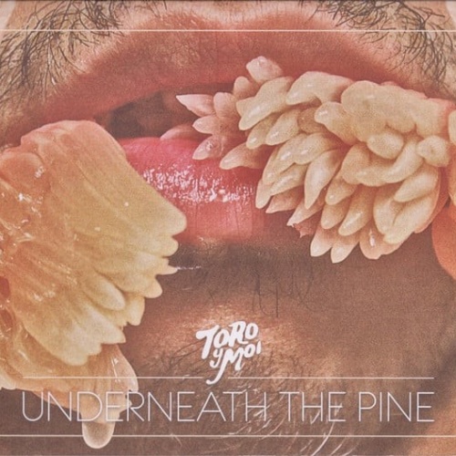 CD, Album Toro Y Moi - Underneath The Pine
