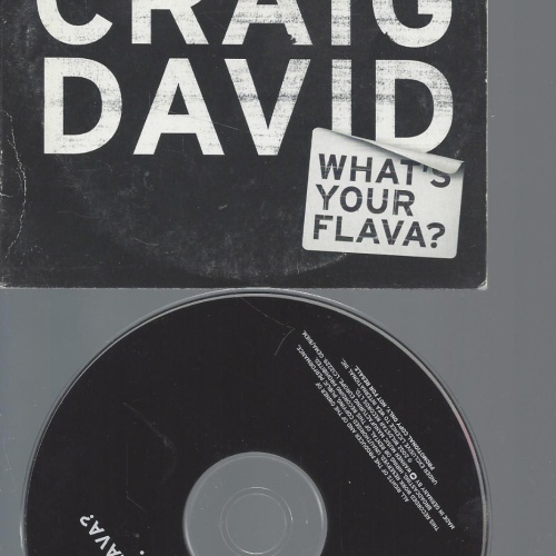 CD--CRAIG DAVID WHAT'S YOUR FLAVA-PROMO