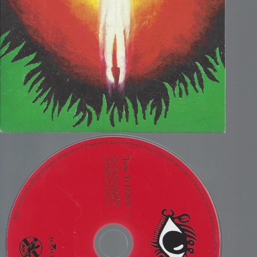 CD--THE ELECTRIC SOFT PARADE LOSE YR FROWN--PROMO