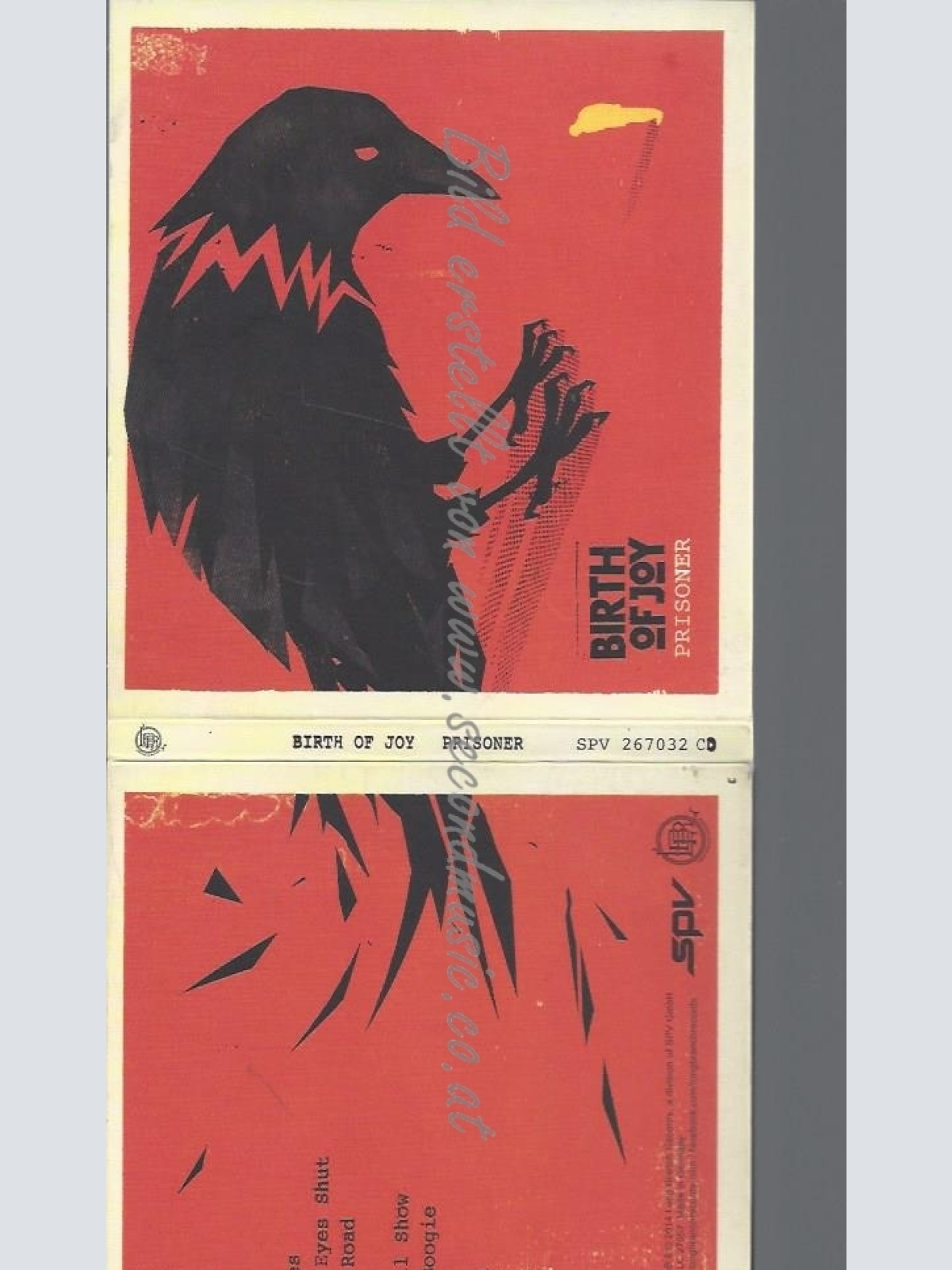 CD--BIRTH OF JOY--PRISONER