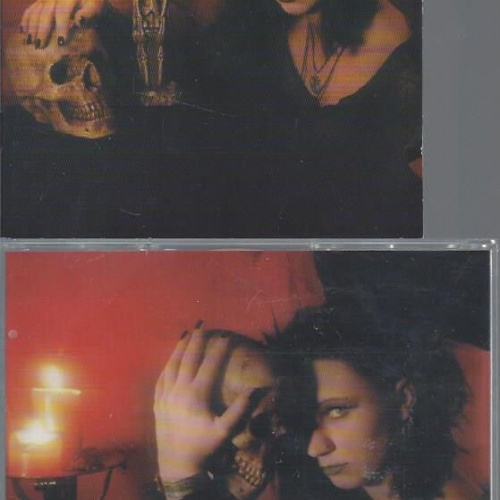 CD- NACHTSCHWÄRMER 5