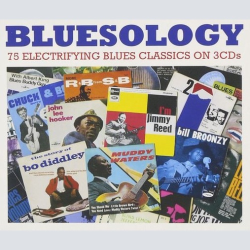 3xCD, Comp Various - Bluesology - 75 Electrifying Blues Classics On 3CDs
