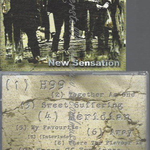 CD--SLEEPING GODS--NEW SENSATION