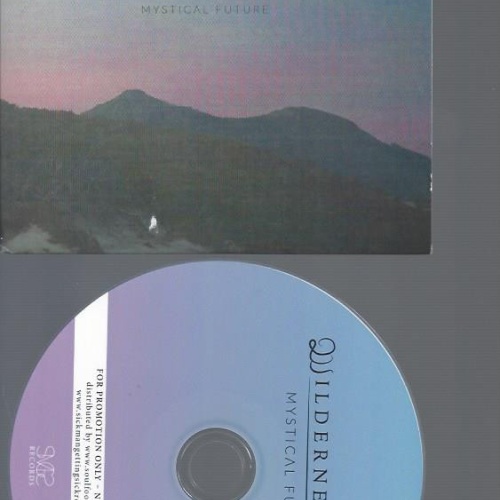CD--WILDERNESSKING MYSTICAL FUTURE  CARDSLEEVE PROMO