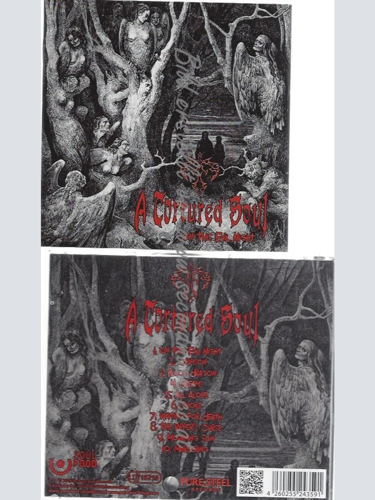 CD--A TORTURED SOUL--MOURNING SON