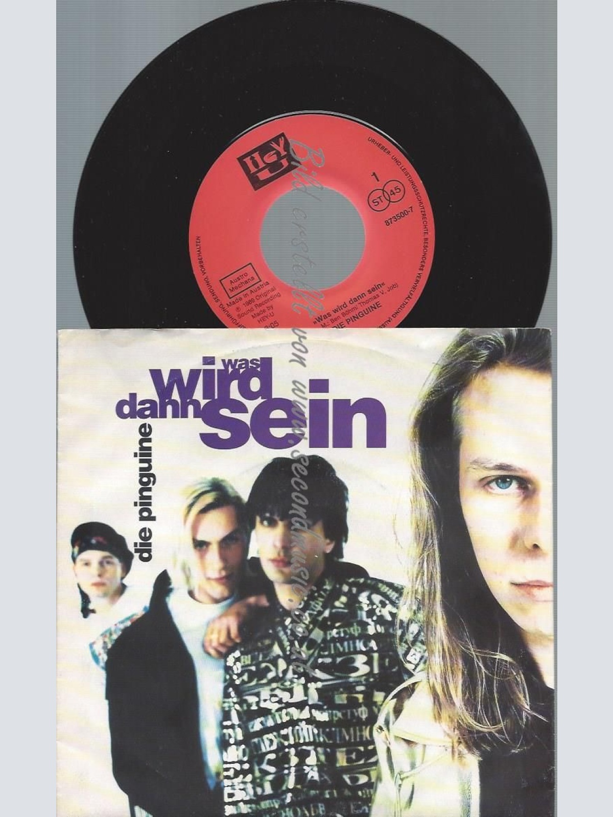 7"   Die Pinguine  Was Wird Dann Sein