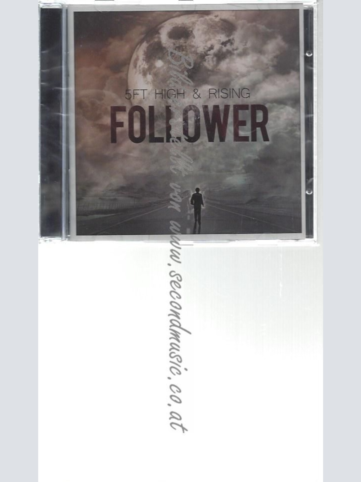 CD--5FT HIGH & RISING--    FOLLOWER