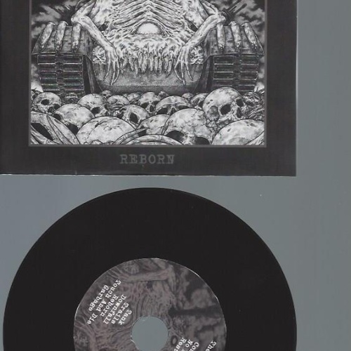 CD--SLAVERY FARM   REBORN