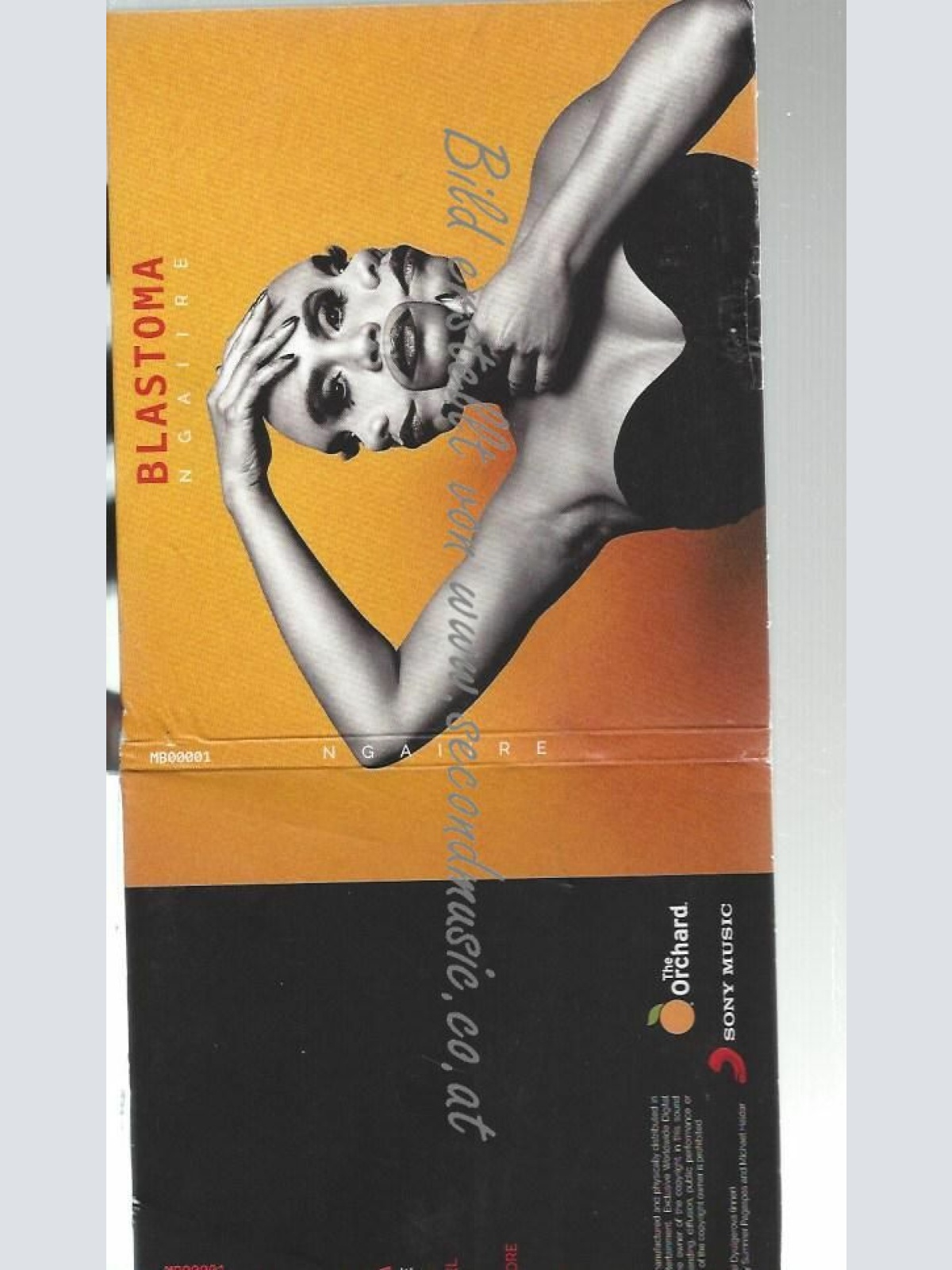 CD--NGAIIRE--BLASTOMA