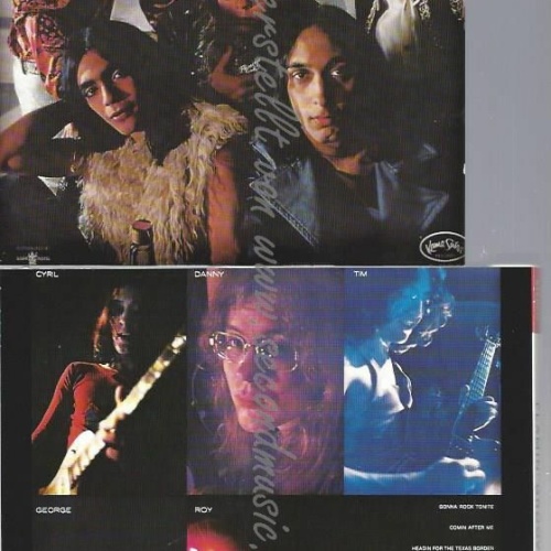 CD--FLAMIN' GROOVIES | --FLAMIN'GROOVIES