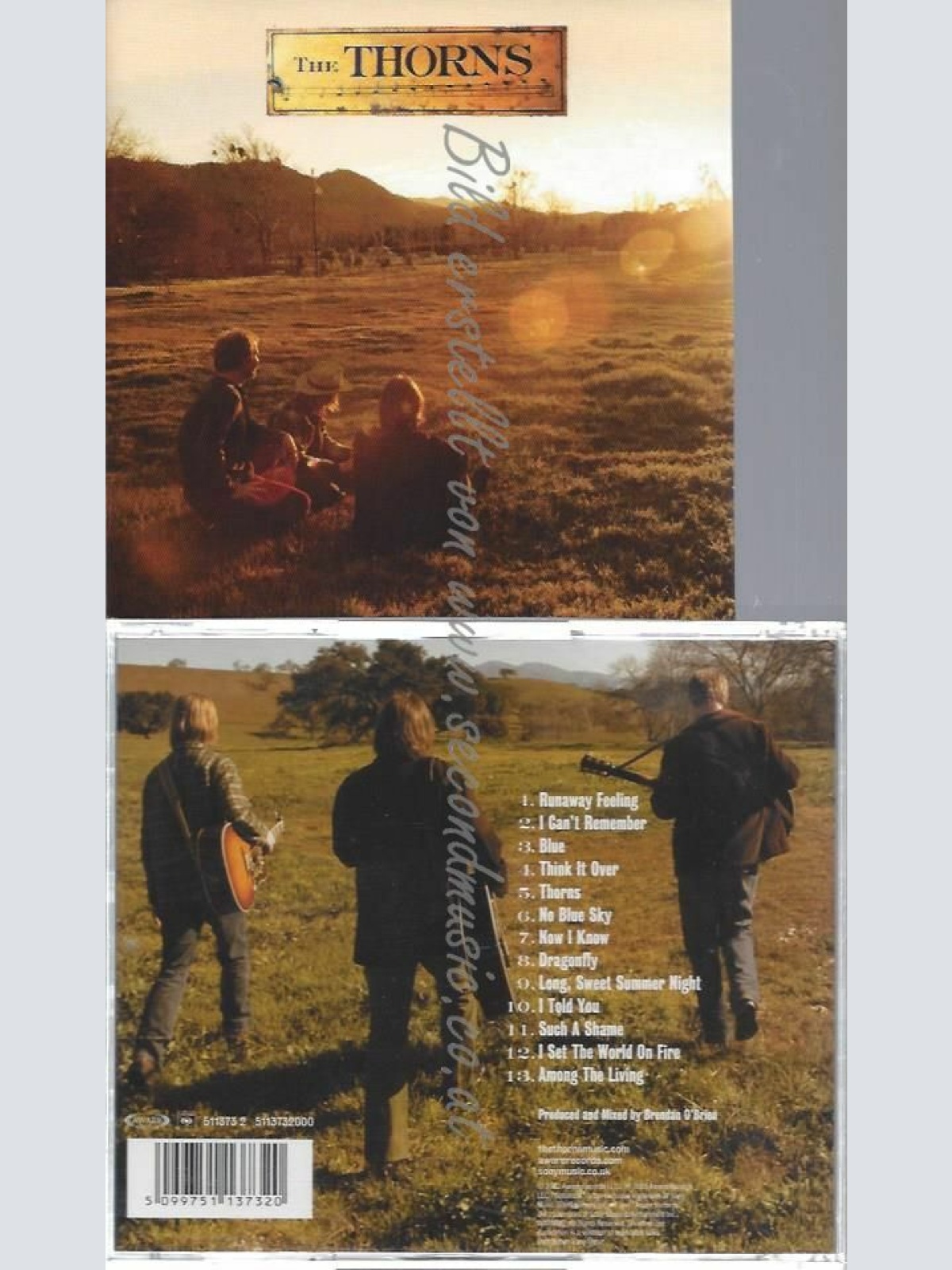 CD--THE THORNS | --THE THORNS