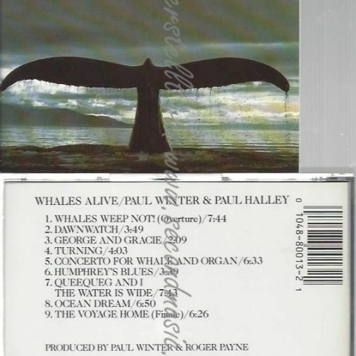 CD--PAUL WINTER , WINTER/HALLEY , ET AL. | --WHALES ALIVE