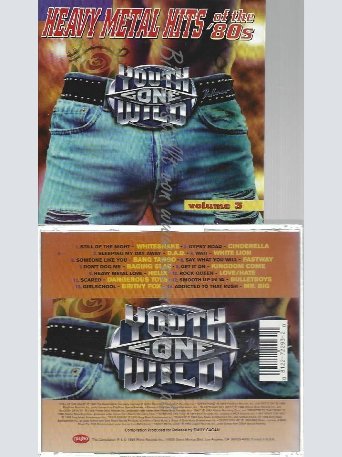 CD--HEAVY METAL HITS OF THE 80'S: YOUTH GONE WILD   V3