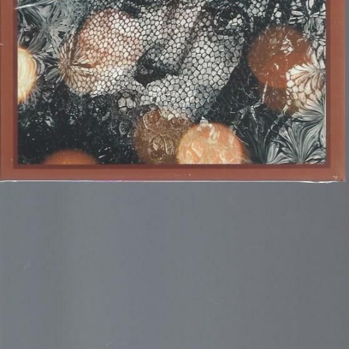 CD - The Stone Tapes    Revolutions In The Head