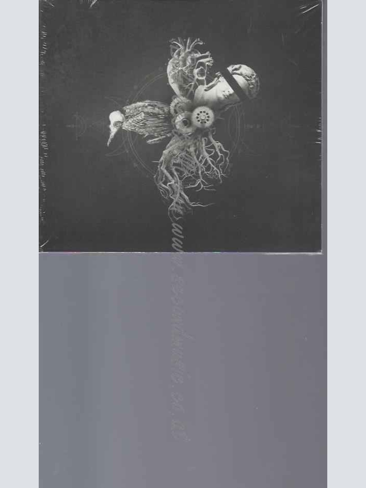 CD-     Your Life On Hold  Echoes From The Bardo