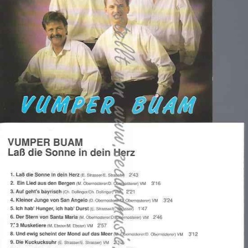 CD--Vumper Buam Laß die Sonne in dein Herz // VM Records