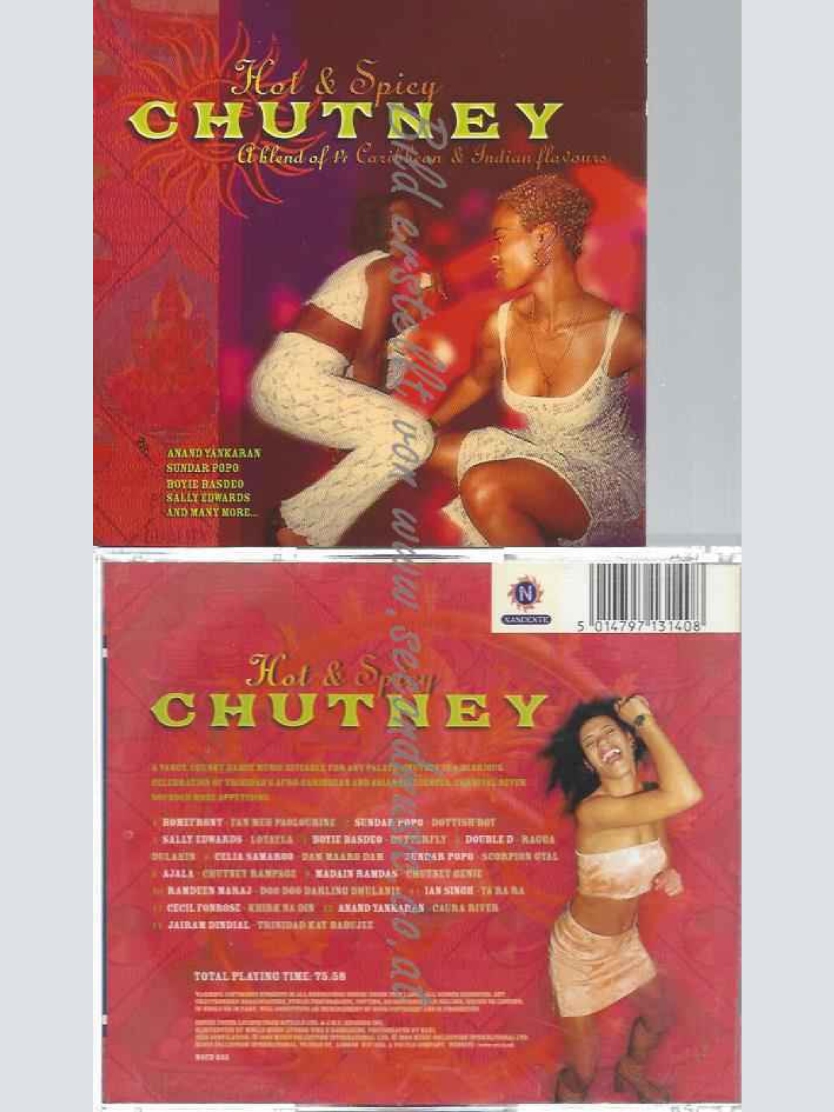 CD--VARIOUS--HOT & SPICY CHUTNEY