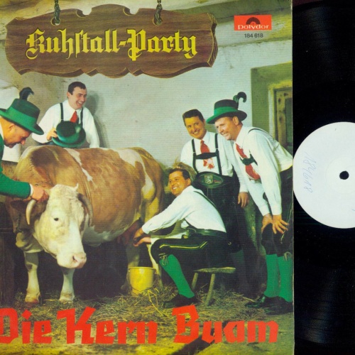 LP-- Die Kern Buam – Kuhstall-Party // Promo / Musterplatte
