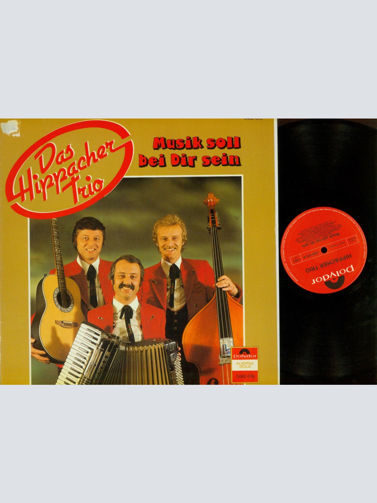 LP--Das Hippacher Trio – Musik Soll Bei Dir Sein