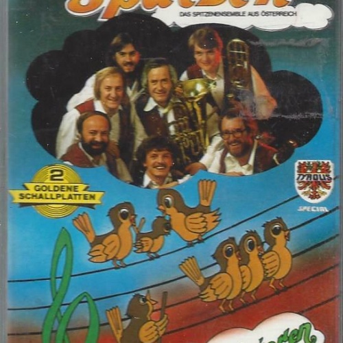 MC-- Viller Spatzen --Wir musizieren mit Freude