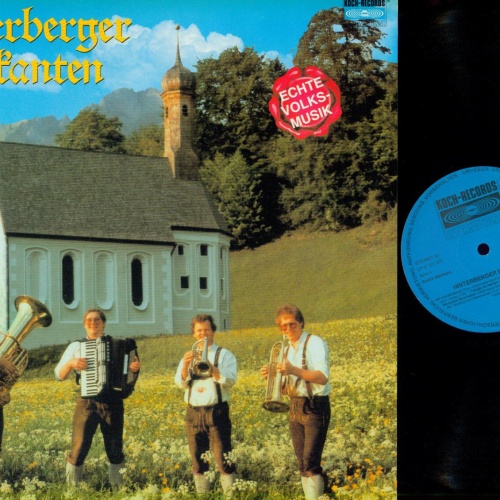 LP--Hinterberger Musikanten – Hinterberger Musikanten - / NM